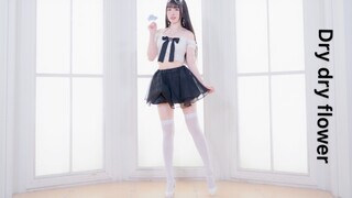 【月月☾】Dry dry flower【不过是空荡荡的啊】『手机竖屏』