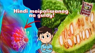 Part 3 | Diary Ng Tropang Probinsyano | Tenrou21