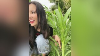 Cà có tí mà l😊i tiktok xuhuong trend onhavanvui hai haihuoc vuinhon