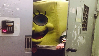 Perfectly Cut Screams 61