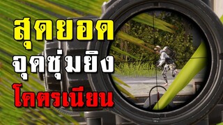 สุดยอดจุดซุ่มยิง! แอบบนต้นไม้ซุ่มยิงผู้เล่นในเกม PUBG