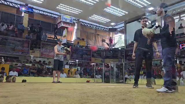talo hiraw naten pumalo din naman
