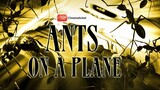 "Ants on a Plane" - Full Movie