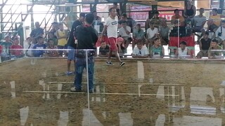 Congrats Gold