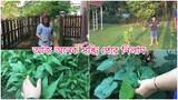Bengali Vlog ll নিজের বাগানের সব্জি দিয়ে অসাধারন রান্না // Malaysia Vlog ll