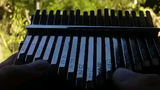 nothing's gonna change my love for you kalimba cover ( chorus )