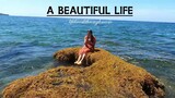 Beautiful Hymn Song- A Beautiful Life