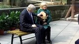 Our pandas getting the royal treatment overseas (270p)