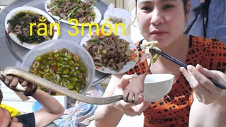đặc sản đồng quê rắn xào hành lá, lòng xào lá đinh lăng cháo rắn,rượu tiết rắn.