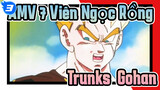 AMV Dragon Ball
Trunks & Gohan_3