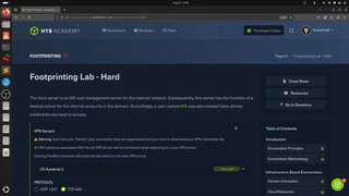 Become a PRO Bug Hunter in 2025 with Live Bug Bounty