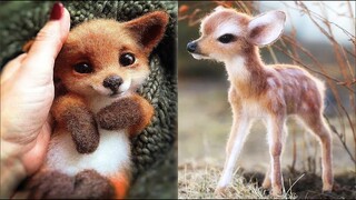 Cutest baby animals Videos Compilation Cute moment of the Animals - Cutest Animals #4