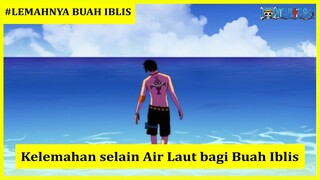 5 Kelemahan Buah Iblis Alami dari Alam One Piece | 2020