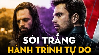 BUCKY BARNES - Hành Trình Tự Do Của Sói Trắng | Falcon and The Winter Soldier