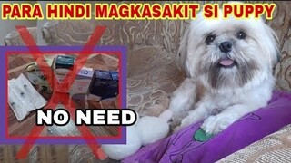 SAKIT NG ASO? GAMOT SA ASO? PANOORIN MO ITO PARA LUMAKS KATAWAN NILA