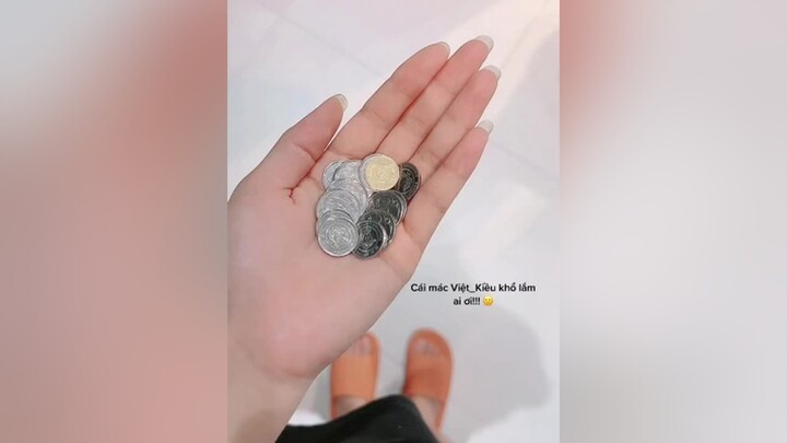 Một năm lận đận của tuổi Ất Hợi 🐷🐷🥺🥺