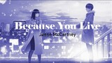 [Vietsub + Lyrics] Because You Live - Jesse McCartney