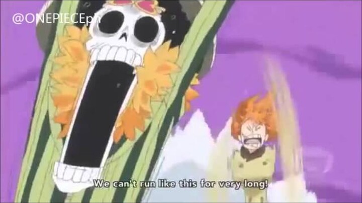 One Piece Funny Moments Luffy With Split Head And Clone Zoro - Bilibili