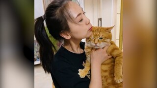 Khi nhà bạn có một Tiểu Tam béo tốt ục ịch (P27) | MYPET