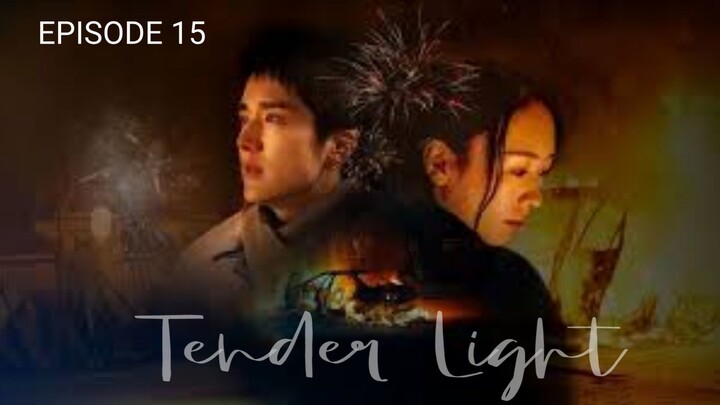 🇨🇳 | EP 15 Tender Light (2024) English Sub