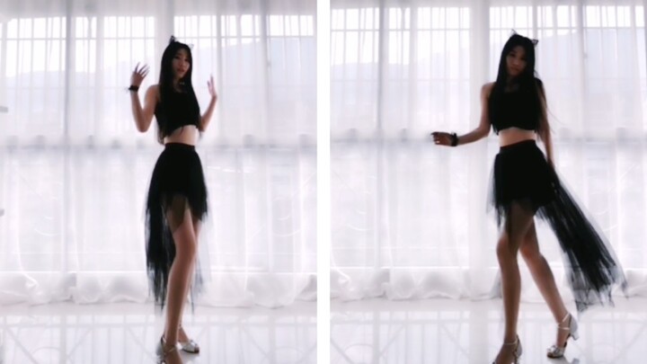 [Waist Bunny] AOA-Like A Cat catwalk light and cute