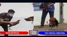 Sabong Part-161 Dilusape Vs Mayahin