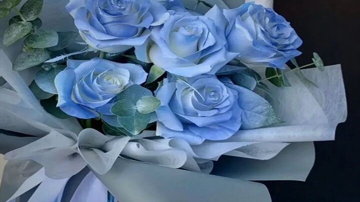 mawar biru apa putih?