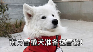 南方人带雪橇犬来北方农村买房之【终于降温】装修进度飞快的！