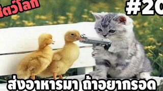 Ep20 สัตว์โลกกวนตีน - พากย์นรก easy boy