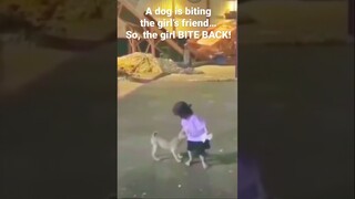 Ops!! The little girl in purple bites a dog to protect her friend…..