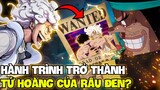 HÀNH TRÌNH TRỞ THÀNH TỨ HOÀNG CỦA RÂU ĐEN?! | NHỮNG KẺ MÀ RÂU ĐEN NHẮM ĐẾN TRONG ONE PIECE