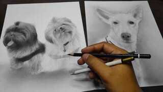How To Draw A Realistic Dog | Easy and Simple Method for BEGINNERS