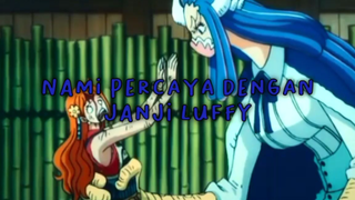 Nami Percaya Dengan Janji Luffy