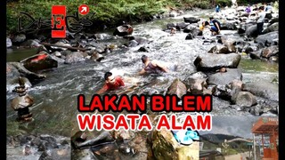 KEKAYAAN ALAM KALIMANTAN TIMUR - LAKAN BILEM