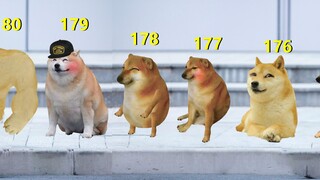 当你问一个男生身高，他会说什么