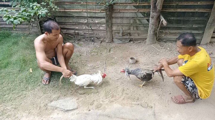 8 months old... parehas malutong ang Palo...🥰🥰