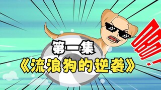 我是一只流浪狗立志逆袭当警犬