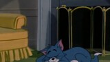 Phim tài liệu Tom và Jerry