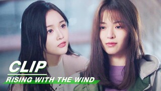 Zhaoyang Wants to Resign| Rising With the Wind EP27 | 我要逆风去 | iQIYI