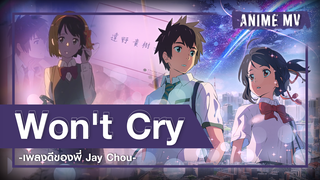 [AMV]Makoto Shinkai's Movies Mashup|BGM: It's Agreed not to Cry