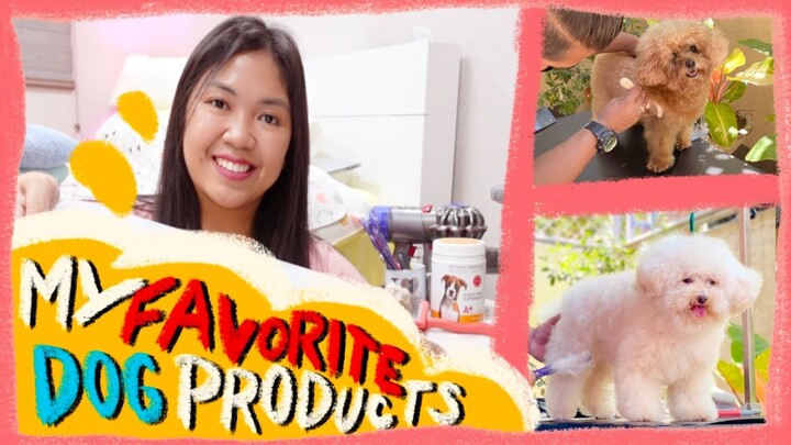 Best Home Grooming Products for Dogs in 2022 | Poodle Grooming Series EP 1 | The Poodle Mom