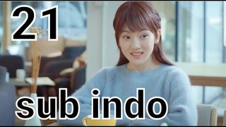 Accidentally in Love episode 21 sub indo