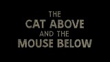 Tom & Jerry S06E02 The Cat Above and the Mouse Below