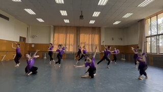 【Beijing Dance Academy】20 Classical Female Class 2 Comprehensive Technical Skills