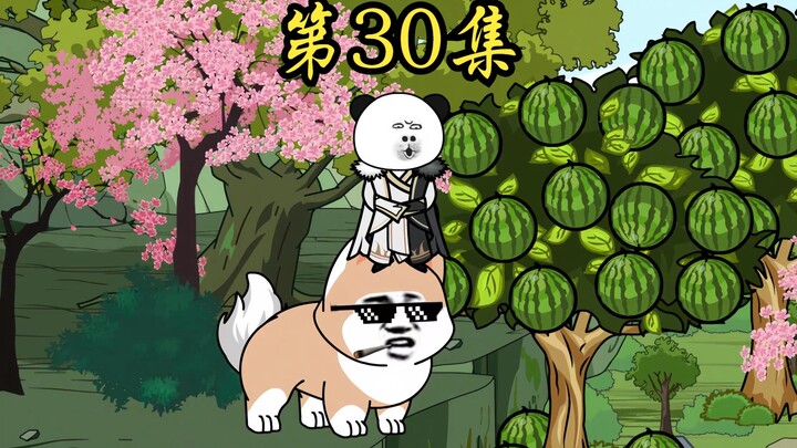 第30集:一个人境弟子...