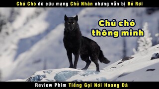 [Review Phim] Chú Chó Cứu Mạng Chủ Nhân Nhưng Vẫn Bị Bỏ Rơi | The Call of the Wild