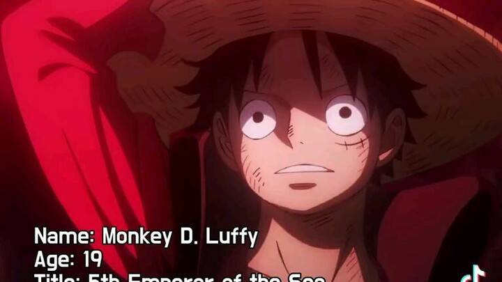 Monkey D. Luffy😎