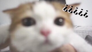 【帮帮】猛男必看、进来收获可爱暴击！