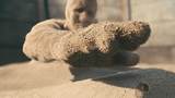 เอฟเฟกต์พิเศษจากภาพยนตร์เรื่อง Sandman ในปี 2007 นี้ยังคงตกตะลึงและน่าทึ่งจนทุกวันนี้