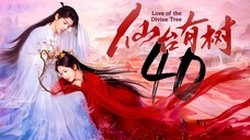 EP40 FINALE Love.of.the.Divine.Tree (2025)